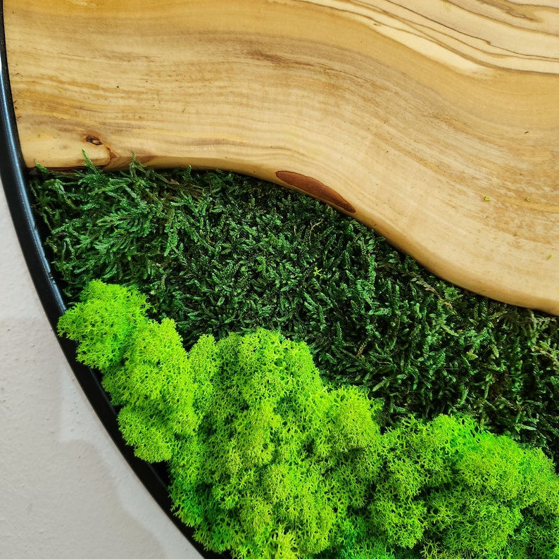 Olive Wood Wall Clock, Metal and Olive Wooden Wall Clock, Olive Wooden Wall Clock & Moss Wall Art, Preserved Stabilized Moss