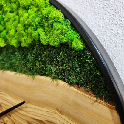 Olive Wood Wall Clock, Metal and Olive Wooden Wall Clock, Olive Wooden Wall Clock & Moss Wall Art, Preserved Stabilized Moss