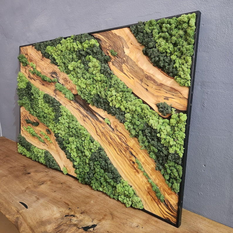 Moss & Wood Wall Art, Unique Custom Made Olive Wood And Moss Wall Decor, Rustic Greenery Decor, Hotel Lobby Wall Art Decor, Home Wall Decor BlackSeaResinWorks