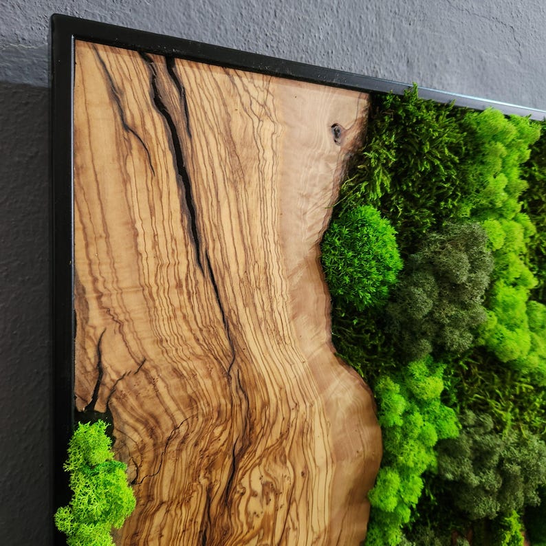 Wood Wall Art, Custom Made Metal Frame Moss Wall Decor, Olive Wood and Moss Wall Art, Preserved Stabilized Moss Wall Decor