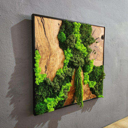 Wood Wall Art, Custom Made Metal Frame Moss Wall Decor, Olive Wood and Moss Wall Art, Preserved Stabilized Moss Wall Decor