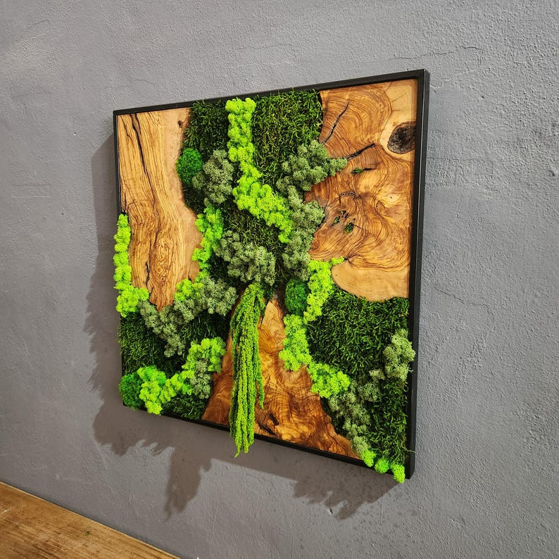 Wood Wall Art, Custom Made Metal Frame Moss Wall Decor, Olive Wood and Moss Wall Art, Preserved Stabilized Moss Wall Decor