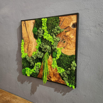 Wood Wall Art, Custom Made Metal Frame Moss Wall Decor, Olive Wood and Moss Wall Art, Preserved Stabilized Moss Wall Decor