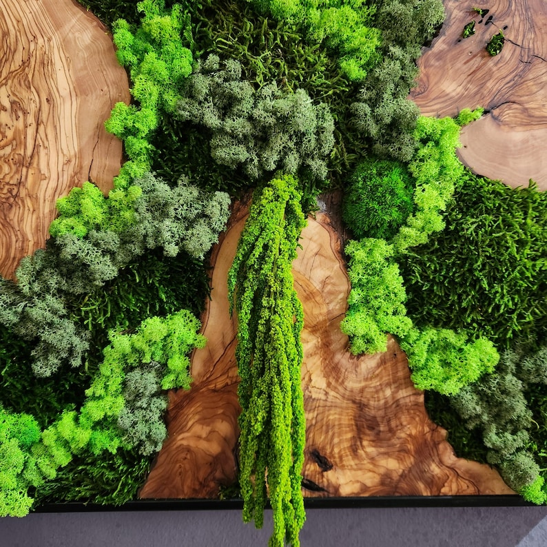 Wood Wall Art, Custom Made Metal Frame Moss Wall Decor, Olive Wood and Moss Wall Art, Preserved Stabilized Moss Wall Decor