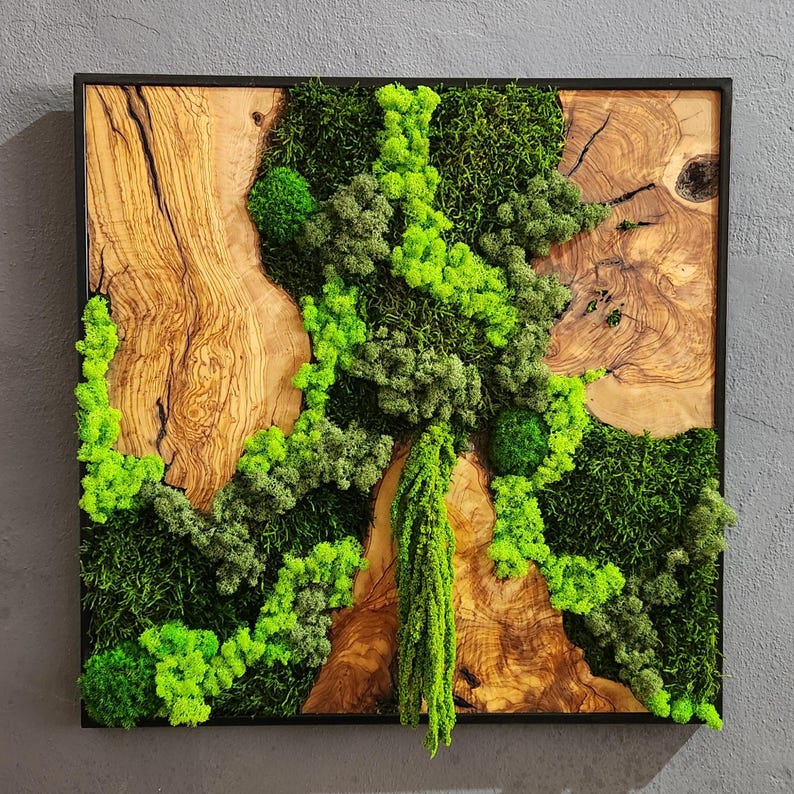 Wood Wall Art, Custom Made Metal Frame Moss Wall Decor, Olive Wood and Moss Wall Art, Preserved Stabilized Moss Wall Decor