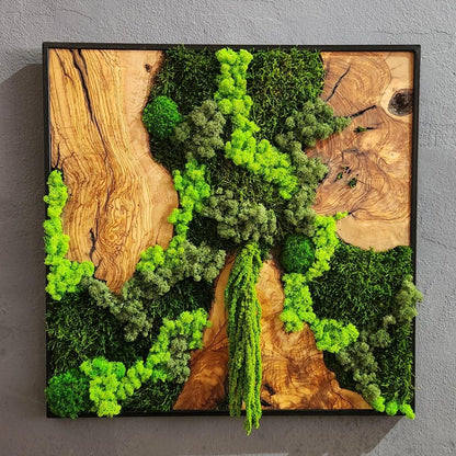 Wood Wall Art, Custom Made Metal Frame Moss Wall Decor, Olive Wood and Moss Wall Art, Preserved Stabilized Moss Wall Decor