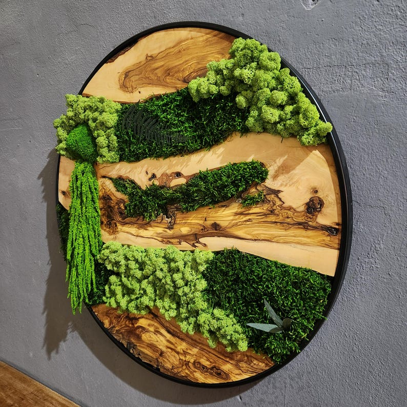Moss and Olive Wood Wall Art, Custom Made Metal Frame Moss Wall Decor, Olive Wood and Moss Wall Art- Preserved Stabilized Moss Wall Decor BlackSeaResinWorks