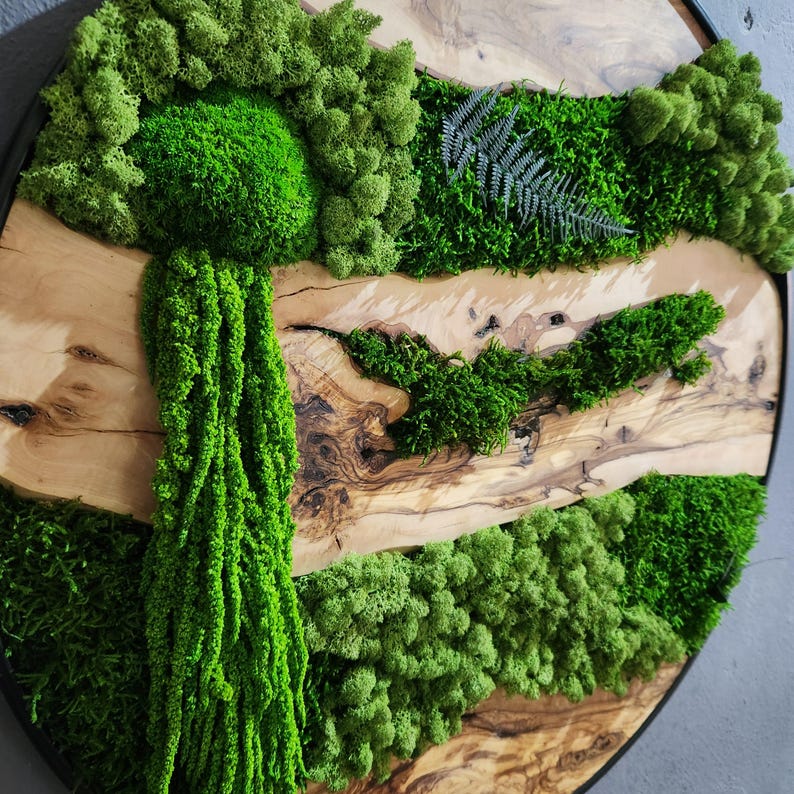 Moss and Olive Wood Wall Art, Custom Made Metal Frame Moss Wall Decor, Olive Wood and Moss Wall Art- Preserved Stabilized Moss Wall Decor BlackSeaResinWorks
