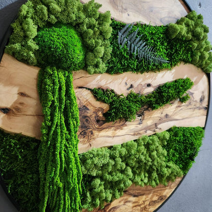 Moss and Olive Wood Wall Art, Custom Made Metal Frame Moss Wall Decor, Olive Wood and Moss Wall Art- Preserved Stabilized Moss Wall Decor BlackSeaResinWorks