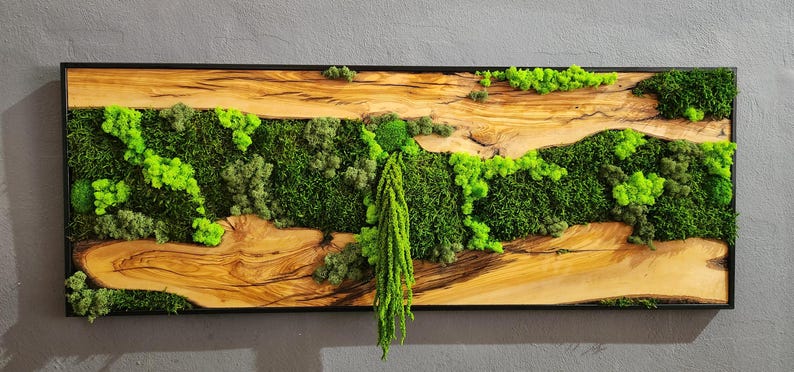 Moss & Wood Wall Art, Unique Custom Made Olive Wood And Moss Wall Decor, Rustic Greenery Decor, Hotel Lobby Wall Art Decor, Home Wall Decor