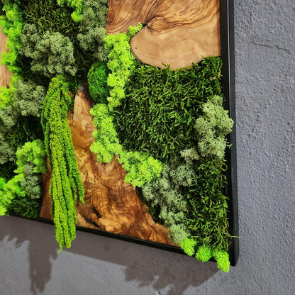Wood Wall Art, Custom Made Metal Frame Moss Wall Decor, Olive Wood and Moss Wall Art, Preserved Stabilized Moss Wall Decor
