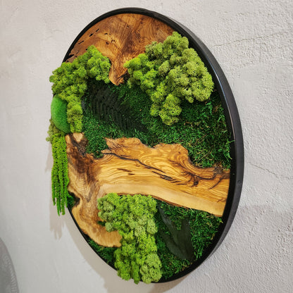 Custom Made Moss and Olive Wood Wall Art, Metal Frame Moss Wall Decor, Olive Wood and Moss Wall Art- Preserved Stabilized Moss Wall Decor BlackSeaResinWorks
