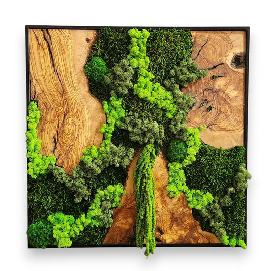 Wood Wall Art, Custom Made Metal Frame Moss Wall Decor, Olive Wood and Moss Wall Art, Preserved Stabilized Moss Wall Decor