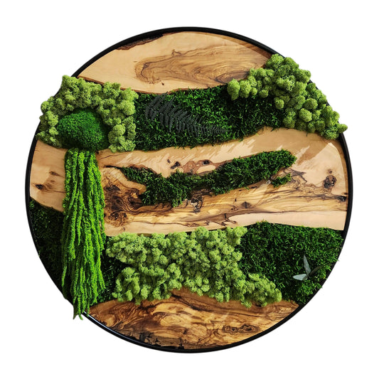 Moss and Olive Wood Wall Art, Custom Made Metal Frame Moss Wall Decor, Olive Wood and Moss Wall Art- Preserved Stabilized Moss Wall Decor BlackSeaResinWorks