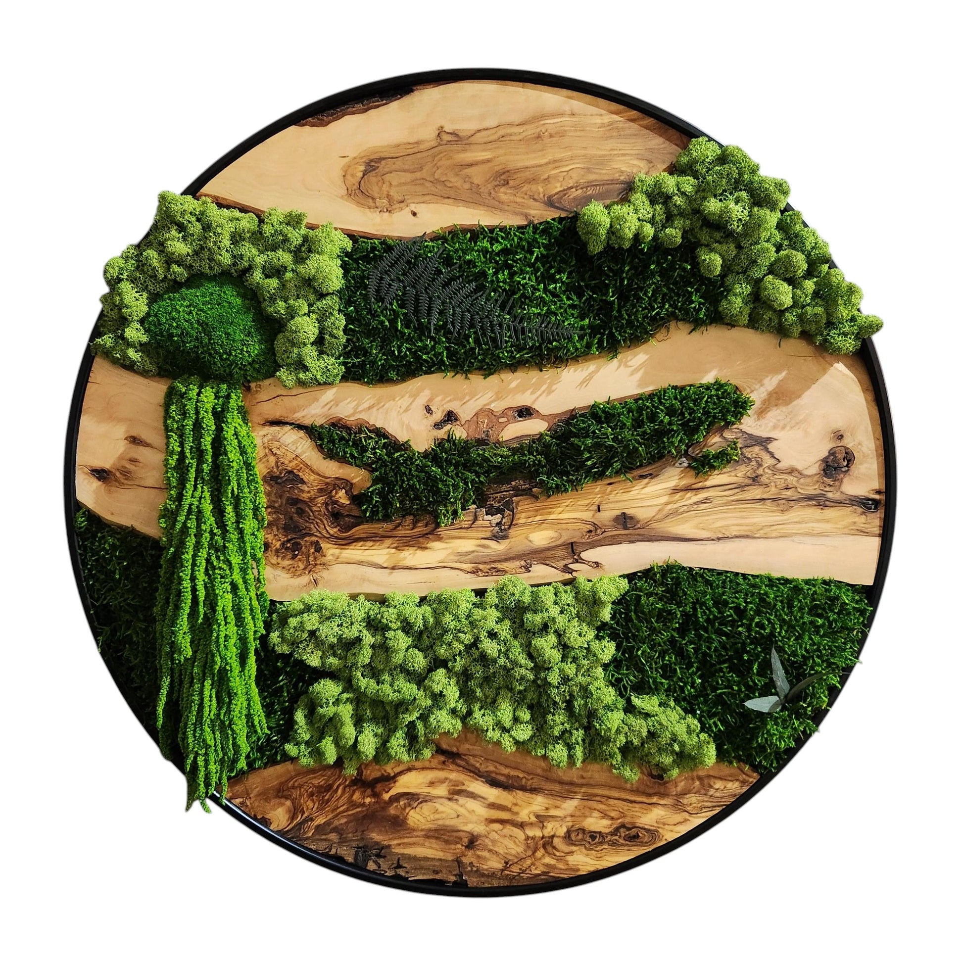 Moss and Olive Wood Wall Art, Custom Made Metal Frame Moss Wall Decor, Olive Wood and Moss Wall Art- Preserved Stabilized Moss Wall Decor BlackSeaResinWorks