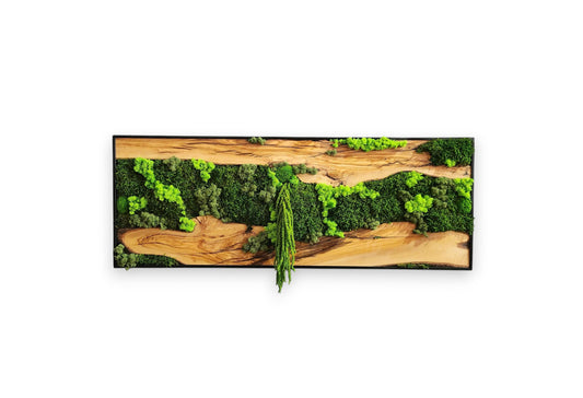 Moss & Wood Wall Art, Unique Custom Made Olive Wood And Moss Wall Decor, Rustic Greenery Decor, Hotel Lobby Wall Art Decor, Home Wall Decor
